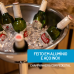 CHAMPAGNEIRA COM PEDESTAL 12,2L FORMA INOX 802088