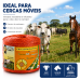 FIO ELETROPLASTICO LARANJA 1000M PARA CERCA ELETRICA ZEBU 3138-0