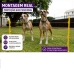 Kit Pet Cerca El&eacute;trica Zebu Para C&atilde;es Gatos Galinhas raio 1900m Completo