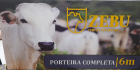 PORTEIRA COMPLETA PARA CERCA ELETRICA 6 MTS ZEBU 1070-7