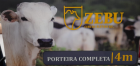 PORTEIRA COMPLETA PARA CERCA ELETRICA ZEBU 4 MTS ZEBU 59-0